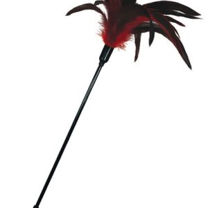 Plumeau Rouge et Noir  57 cm