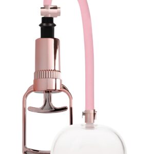 Pompe à vagin - Rose Gold