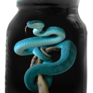 Snake Propyle 15ml
