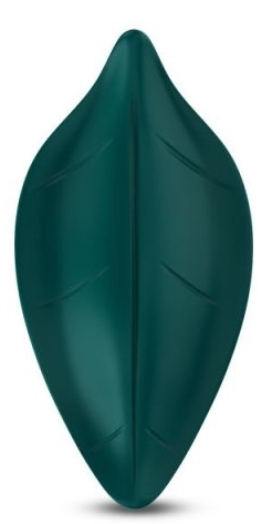 Stimulateur Clitoridien Leavy – Image 4