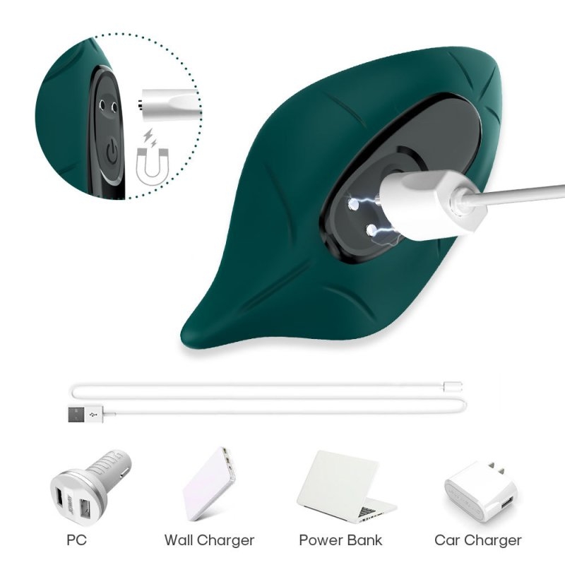 Stimulateur Clitoridien Leavy – Image 5