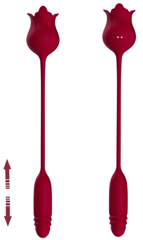 Stimulateur et Vibro Dwich Rose – Image 2