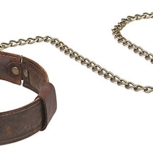 Collier et Laisse SHACK